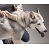 SleekEZ SleekEZ - Brush for Shedding and Grooming - Medium (5“)