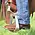 Cashel - E-Z Knees Stirrup Turner - 3"