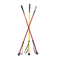 County Whips County Whips - Goddard Basics Crop -