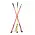 County Whips County Whips - Goddard Basics Crop -