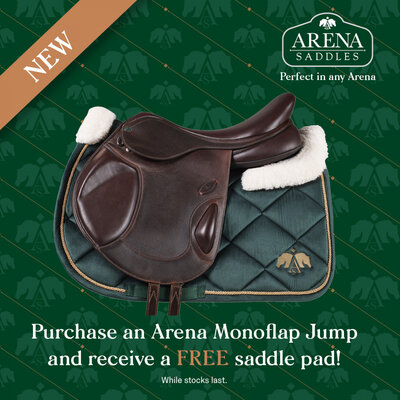 Arena Monoflap Jump Saddle