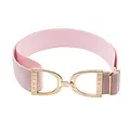 Hutson x Ellany Ellany Pinkalicious - 1.5” Gold Stirrup Elastic Belt