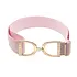 Hutson x Ellany Ellany Pinkalicious - 1.5” Gold Stirrup Elastic Belt