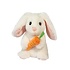 Douglas Douglas - Zen Bunny w Carrot