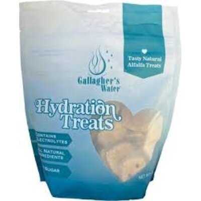 Gallagher's Water Gallagher's Water Hydration Treats 12oz