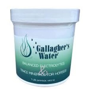 Gallagher's Water Gallagher's Water Balanced Electrolytes & Trace Minerals 1lb