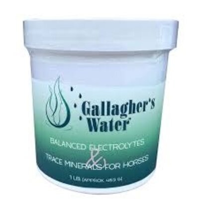 Gallagher's Water Gallagher's Water Balanced Electrolytes & Trace Minerals 1lb