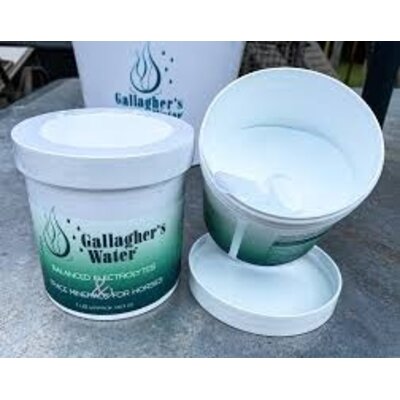 Gallagher's Water Gallagher's Water Balanced Electrolytes & Trace Minerals 1lb