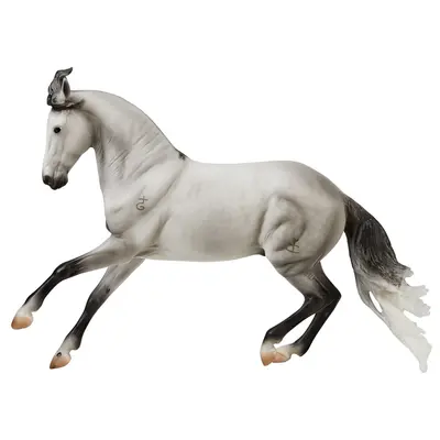 Breyer Breyer - Jaguel Hilton - Criollo Stallion