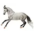 Breyer Breyer - Jaguel Hilton - Criollo Stallion