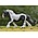 Breyer Breyer - CollectA Gyspy Mare - Black and White Piebald