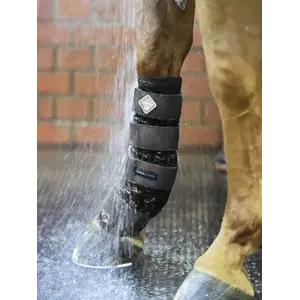 LeMieux LeMieux - Cold Water Boots Black Large