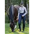 Kerrits Kerrits - SS'26 Equibreeze Ice Fil Long Sleeve Shirt