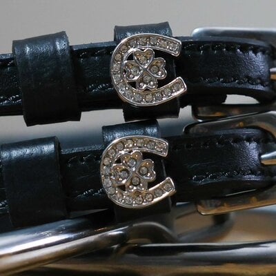 Dreamers & Schemers D&S - Horse Shoe Clover Spur Straps - 18"