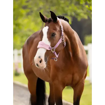 LeMieux LeMieux SP 26' - Vogue Headcollar & Leadrope -