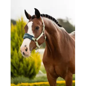 LeMieux LeMieux SP 26' - Vogue Headcollar & Leadrope -