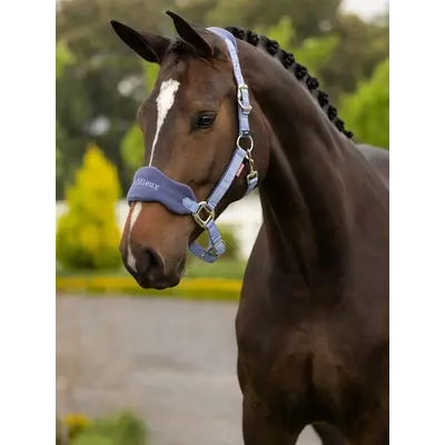 LeMieux LeMieux SP 26' - Vogue Headcollar & Leadrope -