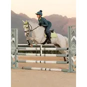 LeMieux LeMieux SP '26 - Young Rider Classique Base Layer