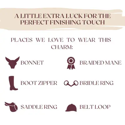 Dubois Cheval DBC Braid Charm Sparkly Evil Eye