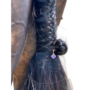 Dubois Cheval DBC Braid Charm Sparkly Clover