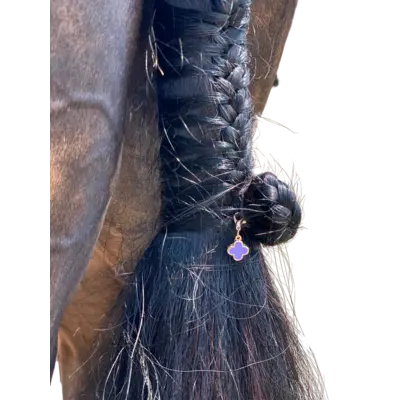 Dubois Cheval DBC Braid Charm Sparkly Clover