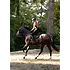 Kerrits Kerrits - Free Motion Coolcore Knee Patch Breech -
