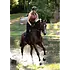 Kerrits Kerrits - Free Motion Coolcore Knee Patch Breech -