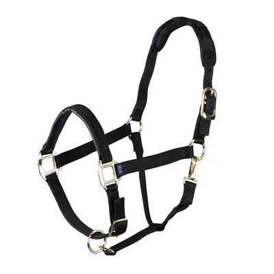 Arma ARMA - Topaz Leather Breakaway Nylon Headcollar -
