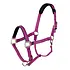 Arma ARMA - Topaz Leather Breakaway Nylon Headcollar -