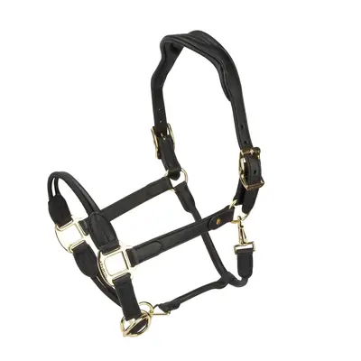 Velociti Velociti Lusso Soria Control Leather Head Collar