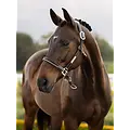 LeMieux LeMieux SP 26' - Rope Control Halter