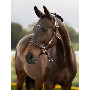 LeMieux LeMieux - SP'26 Rope Control Halter -