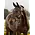 LeMieux LeMieux - SP'26 Rope Control Halter -