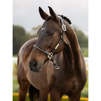 LeMieux LeMieux - SP'26 Rope Control Halter -