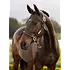 LeMieux LeMieux - SP'26 Rope Control Halter -