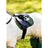 LeMieux LeMieux Toy Pony Pad - Hunter Green