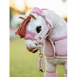 LeMieux LeMieux Toy Pony Vogue Headcollar & Leadrope - Blossom