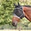 Shires Shires Air Motion Fly Mask with Ears