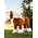 LeMieux LeMieux Toy Pony - Sundance