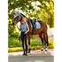LeMieux LeMieux SP 26' - Essence Dressage Square Pad