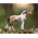 Breyer Breyer - Individual Stablemates - Series 3 - Warmblood