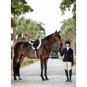 LeMieux LeMieux - Hunter Standing Martingale -