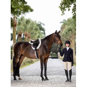 LeMieux LeMieux - Hunter Standing Martingale -