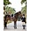 LeMieux LeMieux - Hunter Standing Martingale -