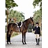 LeMieux LeMieux - Hunter Standing Martingale -