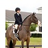 LeMieux LeMieux - Hunter Standing Martingale -