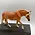 Breyer Breyer Collectable - Haflinger Stallion