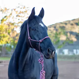 Shires ARMA - Rope Halter & Lead Set -