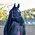 Shires ARMA - Rope Halter & Lead Set -