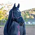 Shires ARMA - Rope Halter & Lead Set -